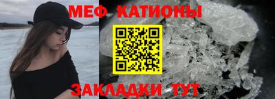 прущие грибы Ставрополь